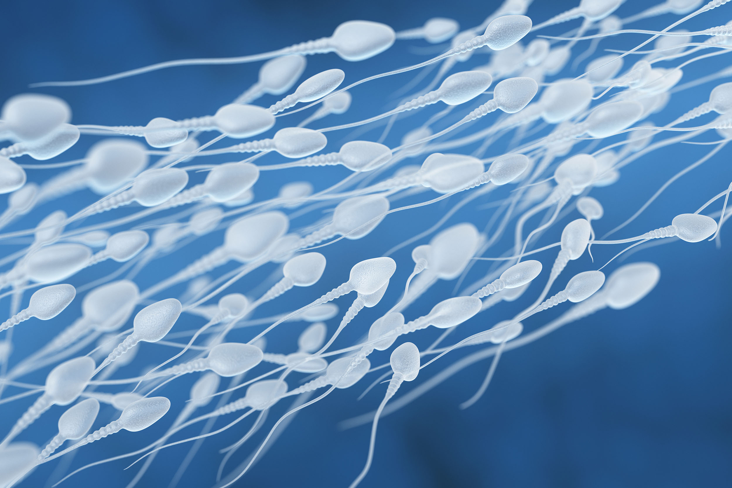 Sperm Retrieval